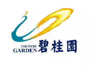 长丰碧桂园地产
